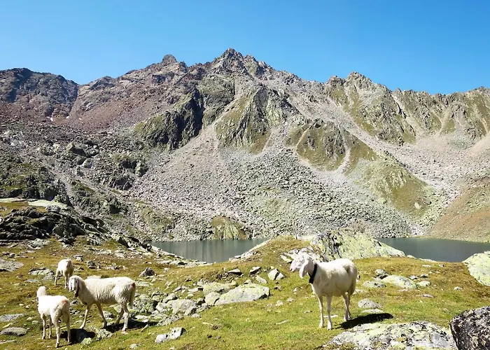 Simone By Interhome 아파트 솔덴