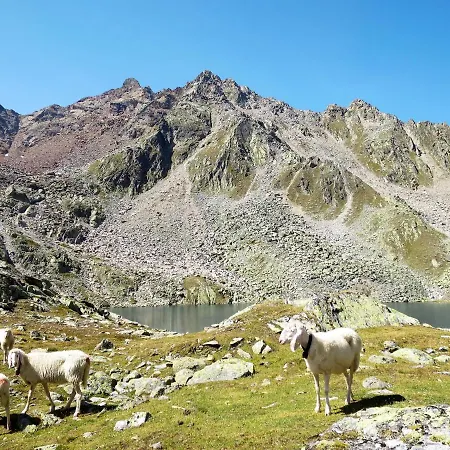 Simone By Interhome Апартаменты Зёльден